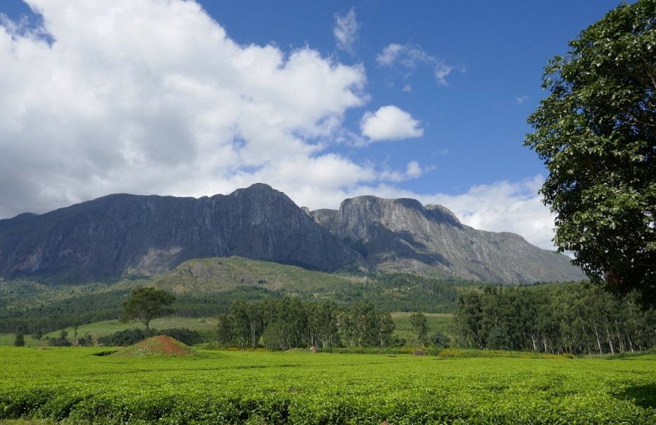 Mount Mulanje (Mulanje Massif), Southern Region (Mulanje District), Malawi